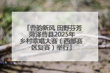 曹韵新风 田野芬芳 菏泽曹县2025年乡村歌唱大赛（西部赛区复赛）举行
