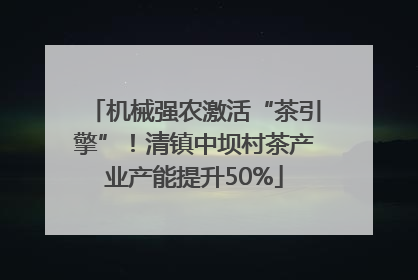 机械强农激活“茶引擎”！清镇中坝村茶产业产能提升50%