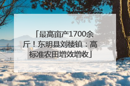 最高亩产1700余斤！东明县刘楼镇：高标准农田增效增收