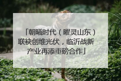 朝曦时代（曜灵山东）联袂创维光伏，临沂战新产业再添重磅合作