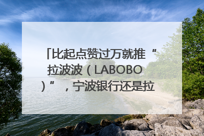比起点赞过万就推“拉波波（LABOBO）”，宁波银行还是拉业绩吧｜财经辣评