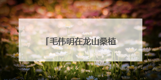 毛伟明在龙山桑植慈利指导防汛救灾