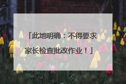 此地明确：不得要求家长检查批改作业！