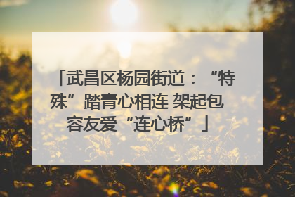 武昌区杨园街道：“特殊”踏青心相连 架起包容友爱“连心桥”