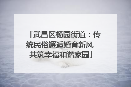 武昌区杨园街道：传统民俗邂逅婚育新风 共筑幸福和谐家园