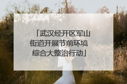 武汉经开区军山街道开展节前环境综合大整治行动