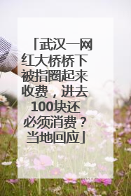 武汉一网红大桥桥下被指圈起来收费，进去100块还必须消费？当地回应