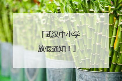 武汉中小学放假通知！