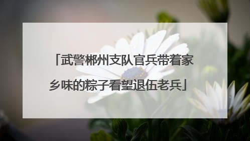 武警郴州支队官兵带着家乡味的粽子看望退伍老兵