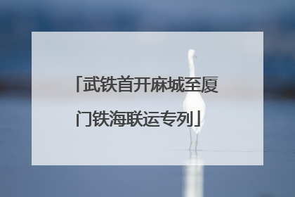 武铁首开麻城至厦门铁海联运专列