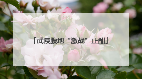 武陵腹地“激战”正酣