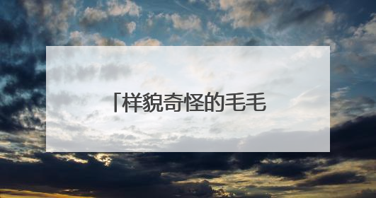 样貌奇怪的毛毛虫现身厦门公园步道，它们是啥？专业人士提醒→