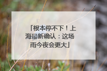根本停不下！上海最新确认：这场雨今夜会更大