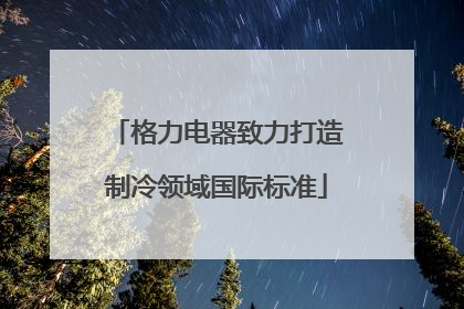格力电器致力打造制冷领域国际标准