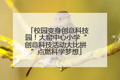 校园变身创意科技园！大窑中心小学“创意科技活动大比拼”点燃科学梦想