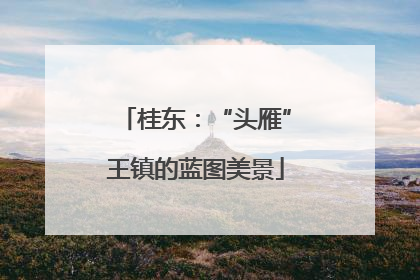 桂东：“头雁”王镇的蓝图美景