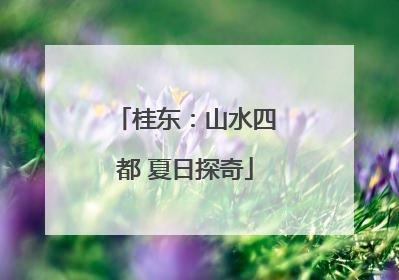 桂东：山水四都 夏日探奇
