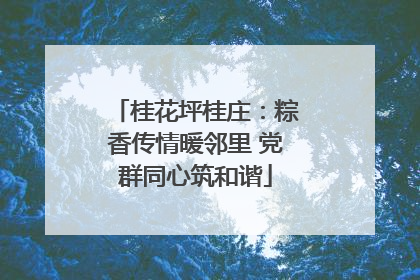 桂花坪桂庄：粽香传情暖邻里 党群同心筑和谐