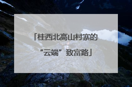 桂西北高山村寨的“云端”致富路
