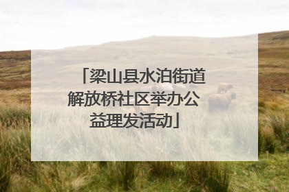 梁山县水泊街道解放桥社区举办公益理发活动