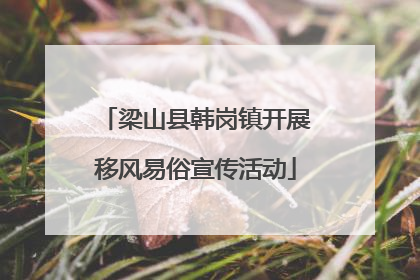 梁山县韩岗镇开展移风易俗宣传活动
