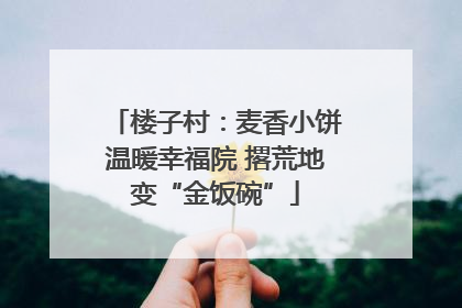 楼子村：麦香小饼温暖幸福院 撂荒地变“金饭碗”