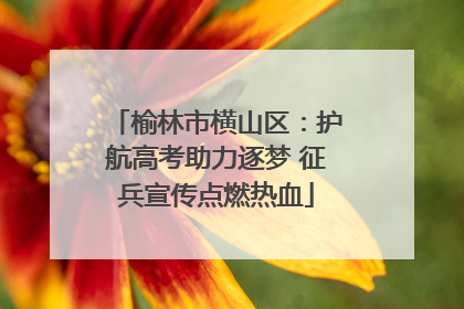 榆林市横山区：护航高考助力逐梦 征兵宣传点燃热血