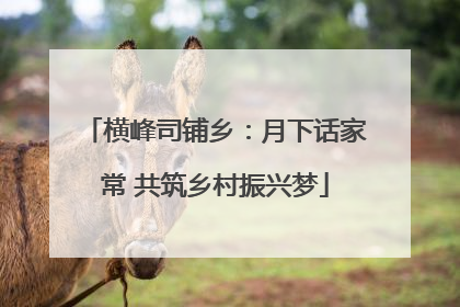 横峰司铺乡：月下话家常 共筑乡村振兴梦
