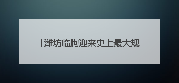潍坊临朐迎来史上最大规模法国祖代朗德鹅种苗