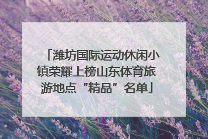 潍坊国际运动休闲小镇荣耀上榜山东体育旅游地点“精品”名单