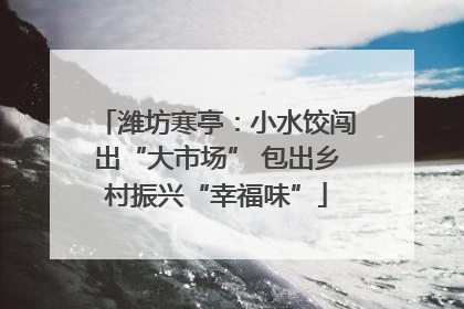 潍坊寒亭：小水饺闯出“大市场” 包出乡村振兴“幸福味”