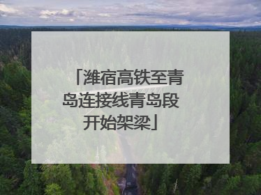 潍宿高铁至青岛连接线青岛段开始架梁