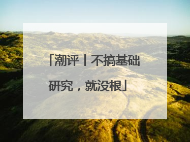 潮评丨不搞基础研究，就没根