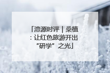 澧源时评｜桑植：让红色旅游开出“研学”之光