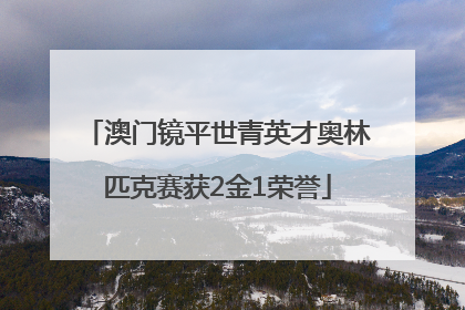 澳门镜平世青英才奥林匹克赛获2金1荣誉