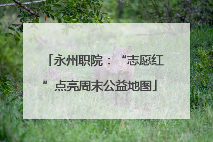 永州职院：“志愿红”点亮周末公益地图