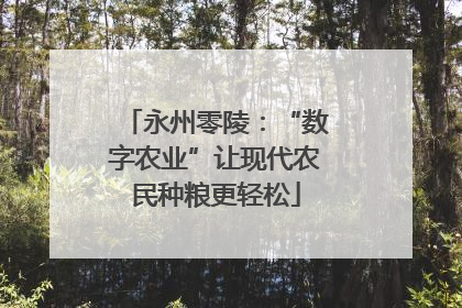 永州零陵：“数字农业”让现代农民种粮更轻松