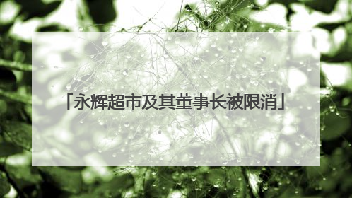 永辉超市及其董事长被限消
