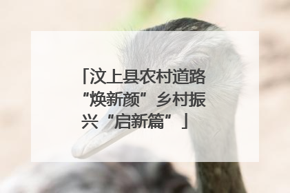 汶上县农村道路“焕新颜”乡村振兴“启新篇”