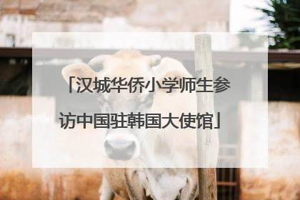 汉城华侨小学师生参访中国驻韩国大使馆