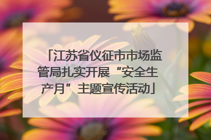 江苏省仪征市市场监管局扎实开展“安全生产月”主题宣传活动