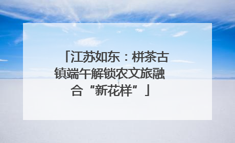 江苏如东：栟茶古镇端午解锁农文旅融合“新花样”