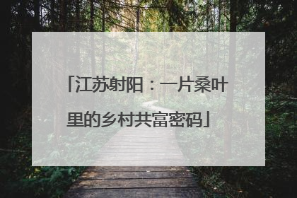 江苏射阳：一片桑叶里的乡村共富密码
