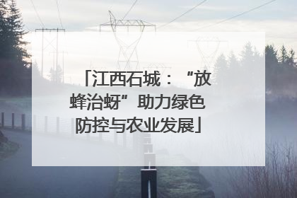 江西石城：“放蜂治蚜”助力绿色防控与农业发展