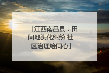 江西南昌县：田间地头化纠纷 社区治理绘同心