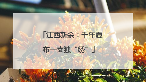 江西新余：千年夏布一支独“绣”