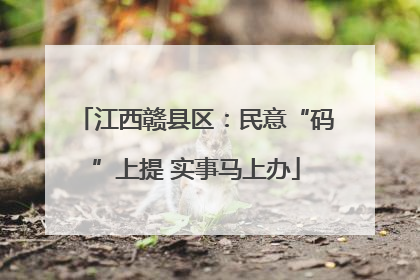 江西赣县区：民意“码”上提 实事马上办