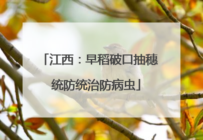 江西：早稻破口抽穗 统防统治防病虫