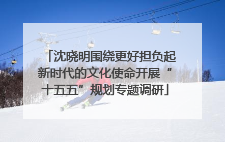 沈晓明围绕更好担负起新时代的文化使命开展“十五五”规划专题调研