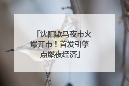 沈阳歇马夜市火爆开市！首发引擎点燃夜经济
